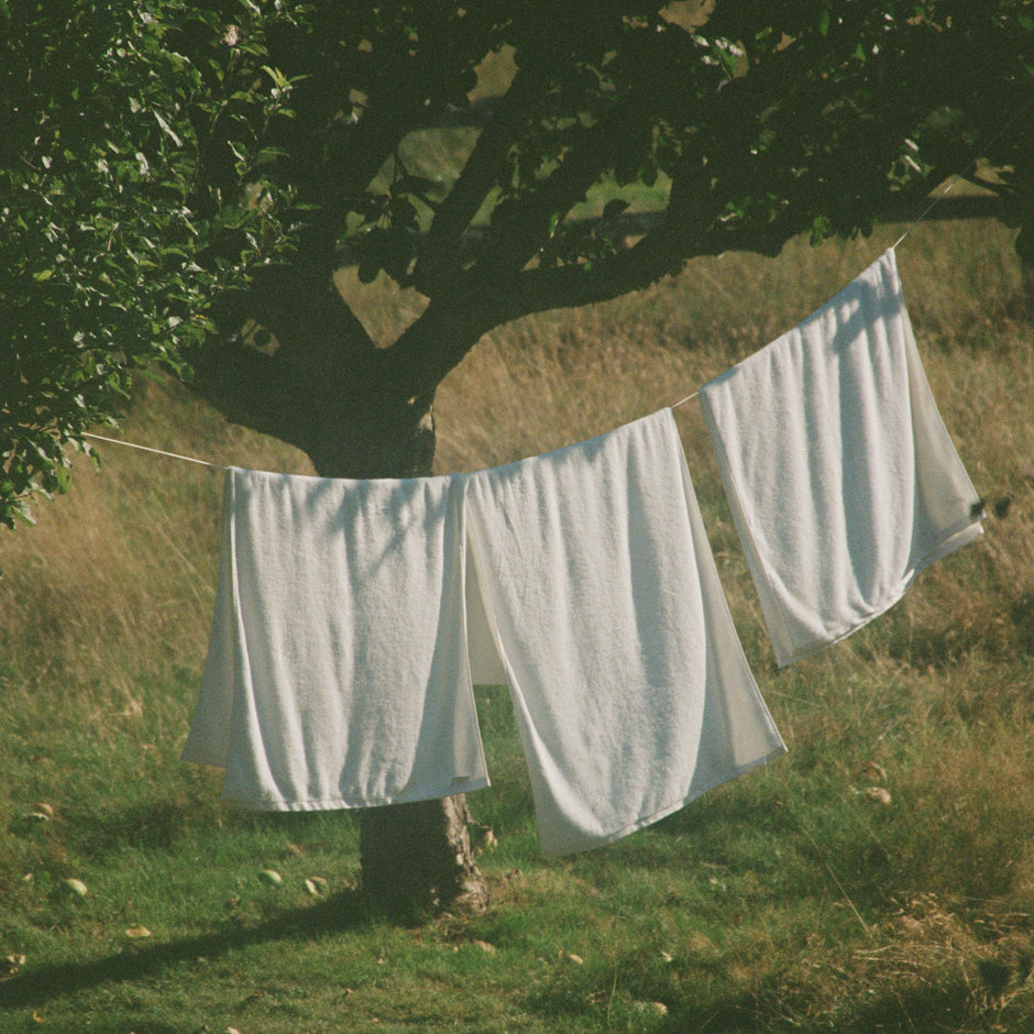 Why Does Your Towel Smell?